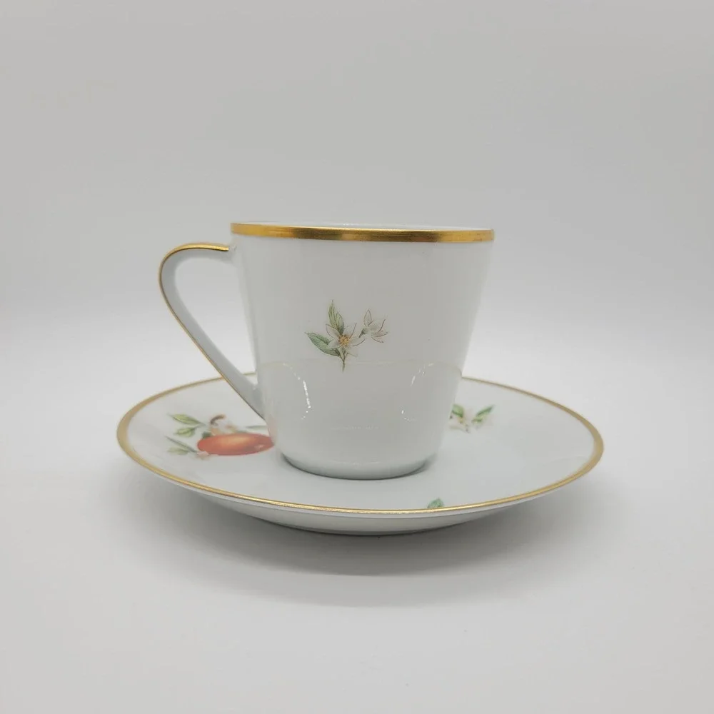Hutschenreuther Noblesse Pasco Demitasse Cup Saucer Set Orange Gold Germany‎